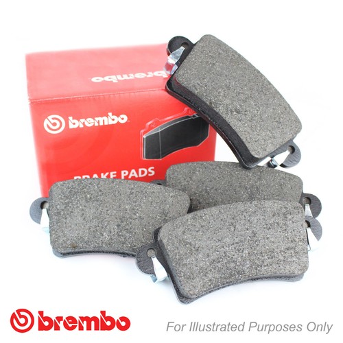 Front brembo brake - brake, set