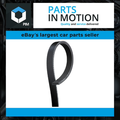 Rib multi drive belt fits - rib, v