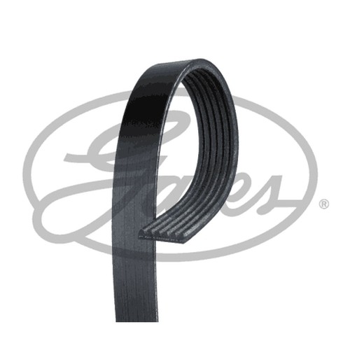 Rib multi drive belt - drive,