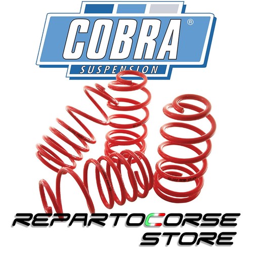 Cobra springs for - cobra, nissan